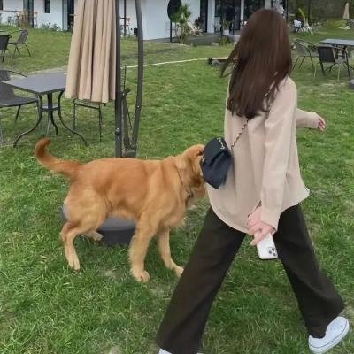 吾家有子初长成